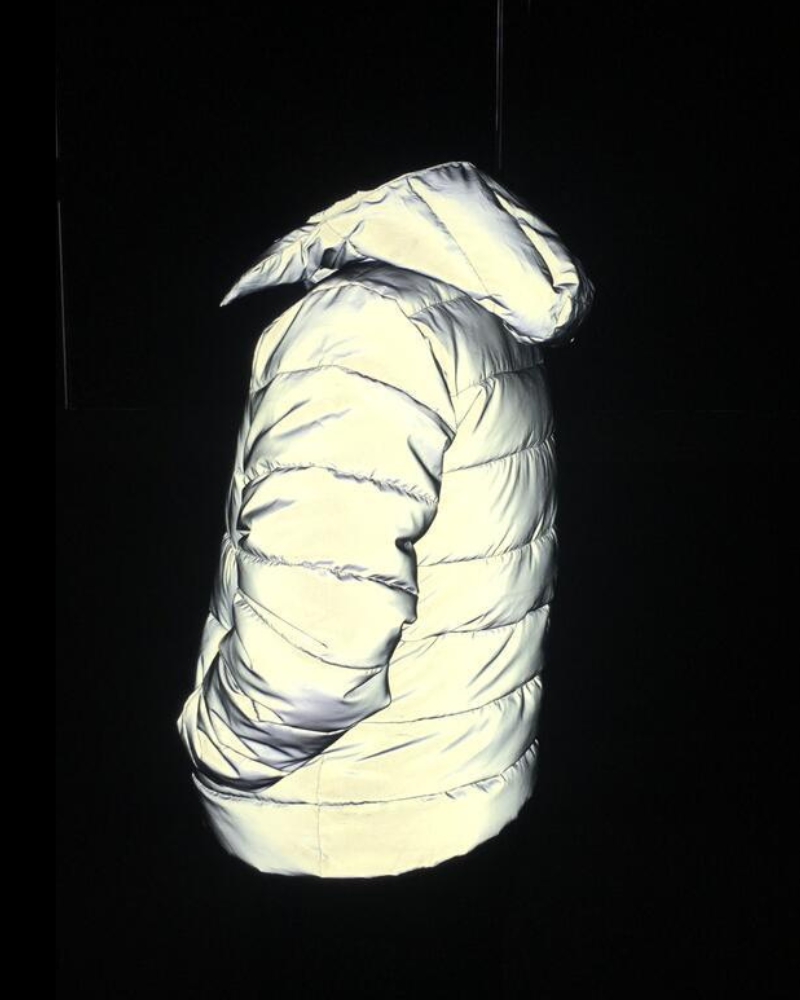 Techwear Reflective Winter Jacket