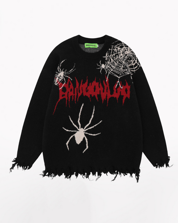 Streetwear Hip-Hop Spider Knitted Fringe Sweater