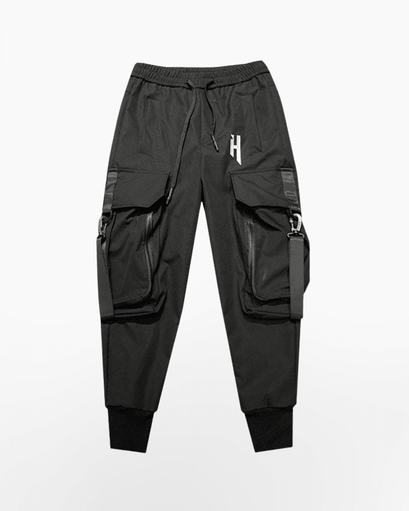 Whyworks 23ss Adjustable Cargo Pants DWR Material Techwear Warcore