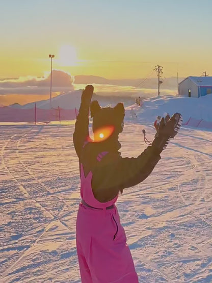 Ski Wear Snowboard Gear Reflective Stripe Ski Bibs - Unisex